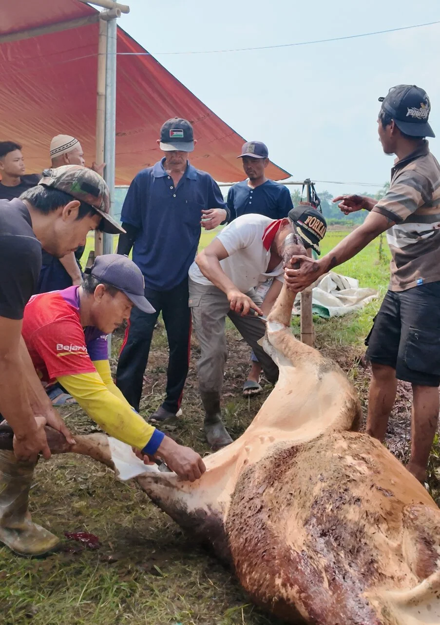 Foto 4 dari album Kurban Bersama Santri 2025